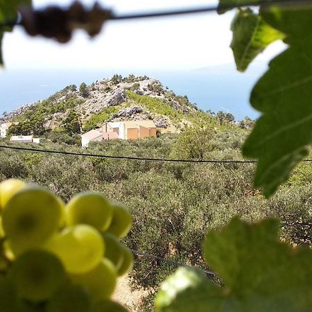 Apartment Ivo Veliko Brdo Μακάρσκα Εξωτερικό φωτογραφία